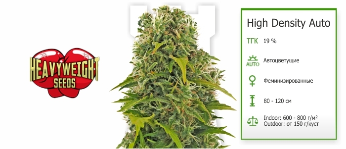 High Density Auto High Density Auto