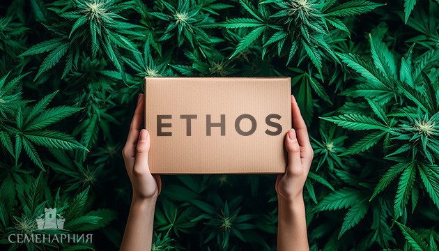 Новый бридер ETHOS Представляем вам нового производителя семян – ETHOS