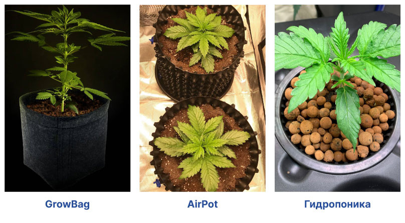 Виды емкостей для выращивания