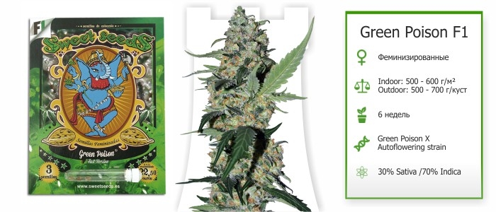 Green Poison F1 Green Poison F1