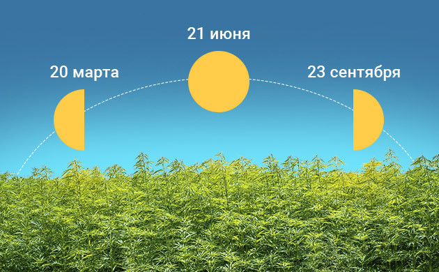Смена светового дня Сокращение светового дня после 21 июня