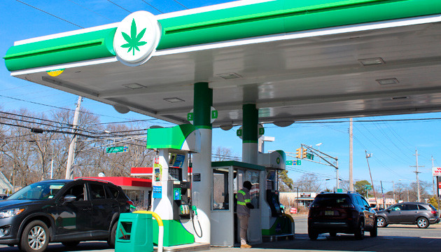 Использование масла каннабиса в промышленности Промышленное использование конопляного масла