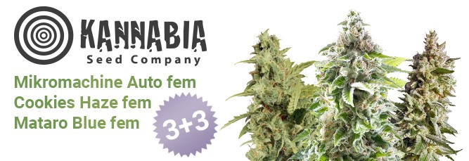 Акция 3+3 Акция на Семенарнии