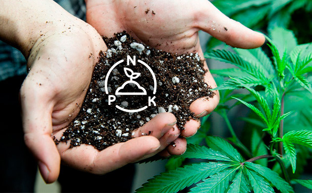 Удобрения на этапе цветения N-P-K удобрения