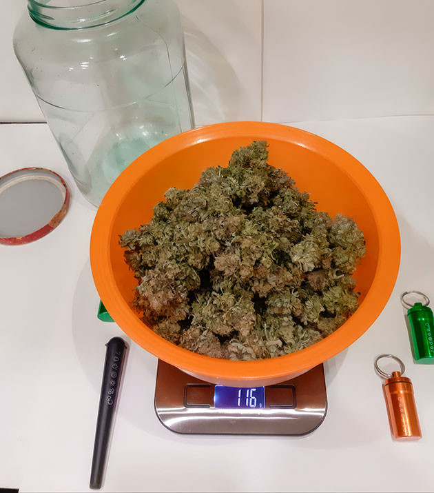 Впечатления гровера Урожай после сушки