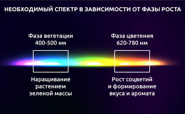 Необходимый спектр в зависимости от фазы роста