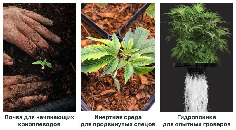 Выбор почвы для выращивания в гроубоксе Почва для выращивания