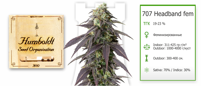 707 Headband 707 Headband