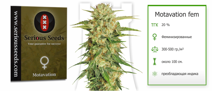 Motavation Motavation