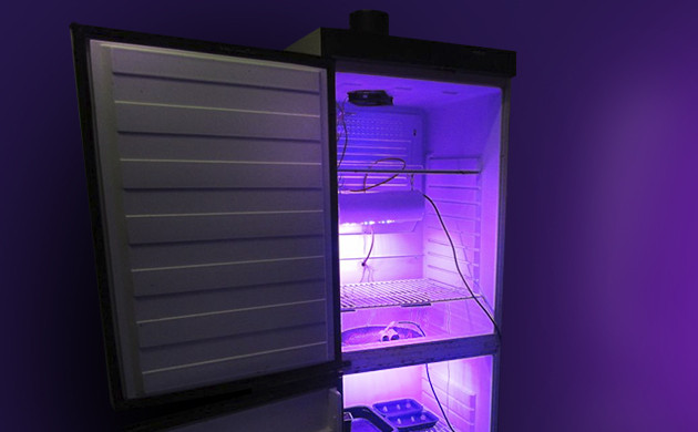 Гроубокс из старого холодильника Обустройство гроубокса в холодильнике