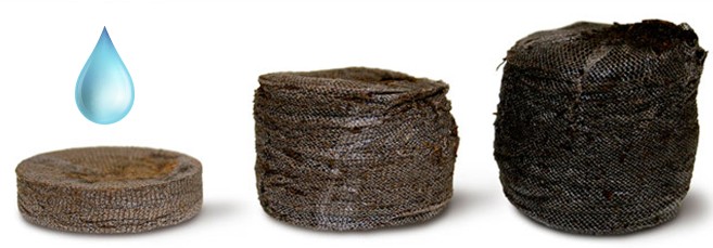 Разбухание торфяной таблетки Как пользоваться торфяной таблеткой