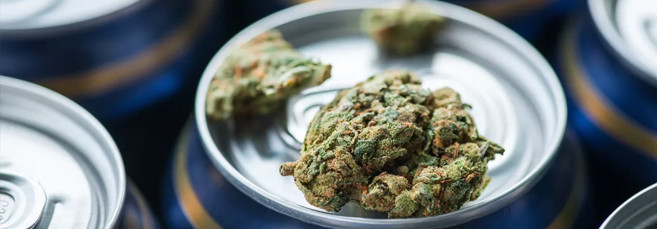 Пиво из конопли Конопляное пиво