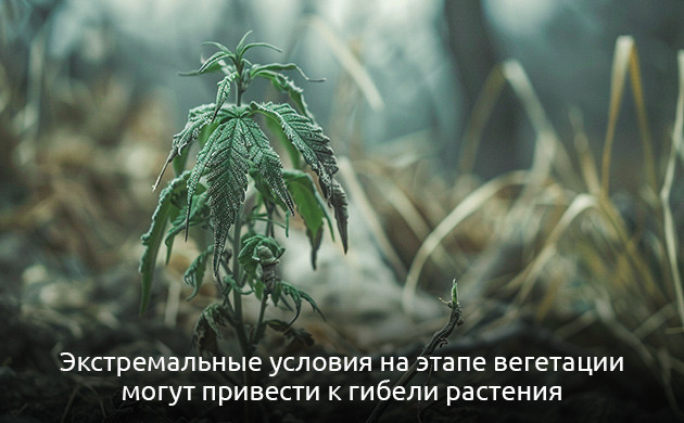 Показатели температуры и влажности