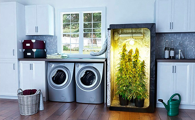 Полноразмерный гроубокс