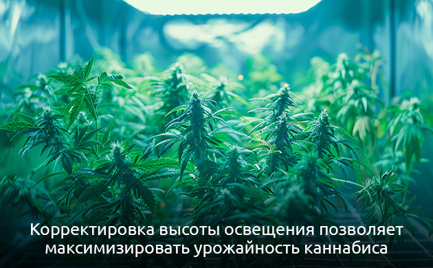 Освещение в закрытом грунте