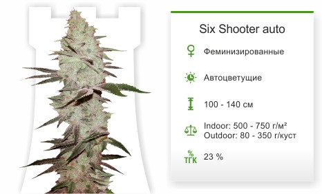 Сорт марихуаны Six Shooter Auto Six Shooter auto от FastBuds