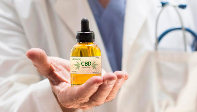 Применение масла каннабиса в медицине Масло конопли в медицине