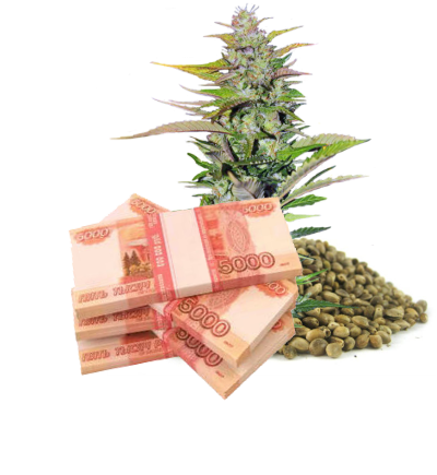 минусы конопли f1 минусы конопли f1