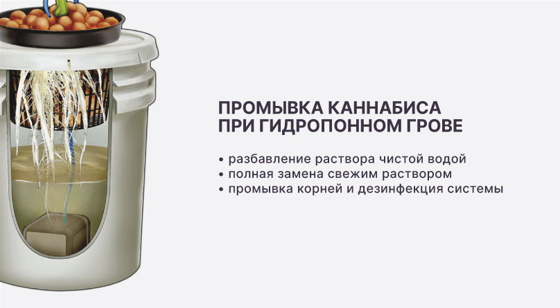 Промывка при гидропонном выращивании