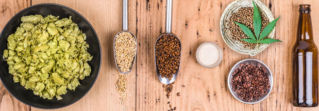 Рецепт пива из конопли Как приготовить конопляное пиво