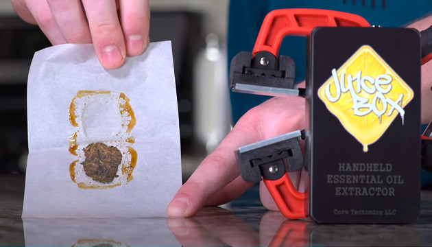 Экстракт марихуаны Экстракт конопли похож на мёд