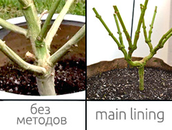 В индоре смолы больше чем в аутдоре Метод main lining