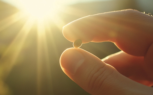 Рекомендации по выбору сорта конопли Выбор сорта для выращивания