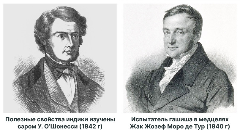 Марихуана в истории: военные врачи и лечебные свойства Каннабис в Европе: от религиозного запрета к медицинскому потенциалу