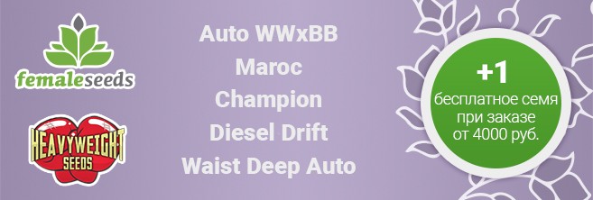 При заказе на 4000 рублей семечко в подарок