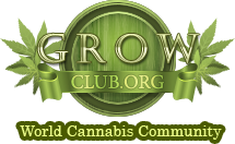 Grow club.org Grow club.org