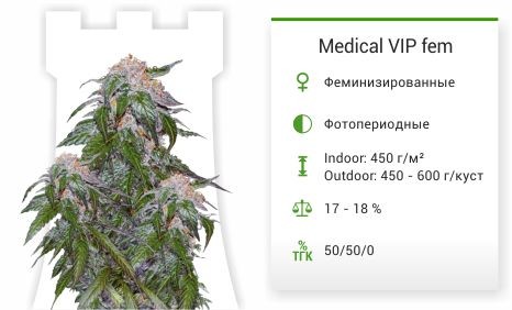 Сорт марихуаны Medical VIP Medical VIP fem (VIP seeds)