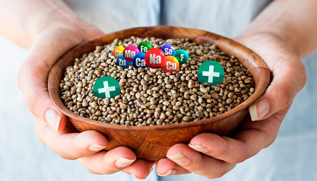 Витамины в конопляном семени Польза конопляного семени