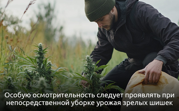 Факторы, которые нужно учитывать при подготовке к аутдору