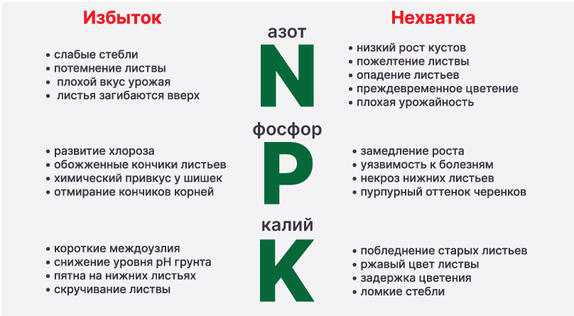 Основные макроэлементы конопли Плюсы и минусы макроэлементов