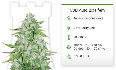 CBD Auto 20:1 от FastBuds