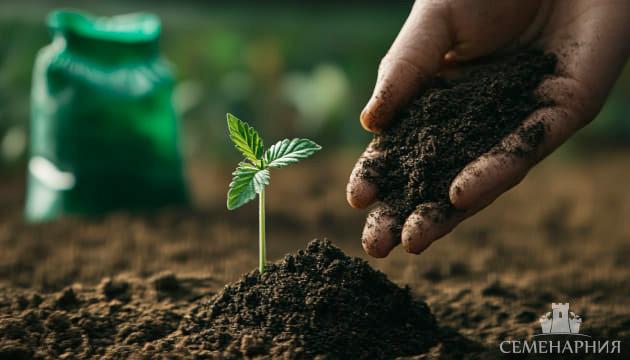 Удобрения для конопли Удобрения необходимые конопле