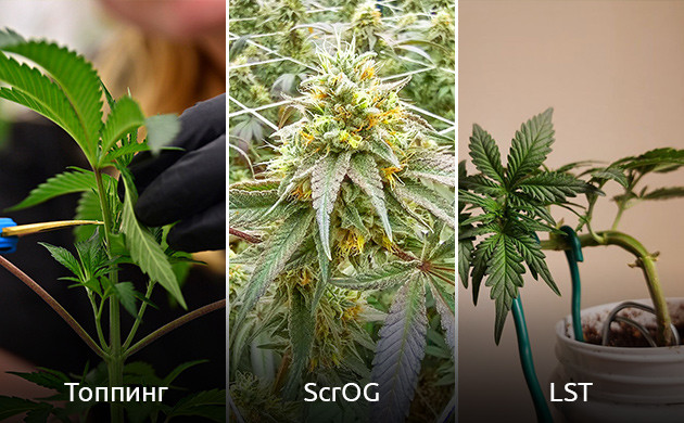 Методы повышения урожайности