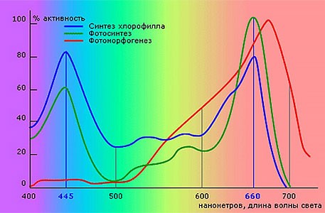 Спектр света Значение спектра освещения для растений