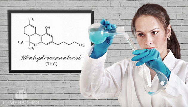 Каннабиноид ТГК