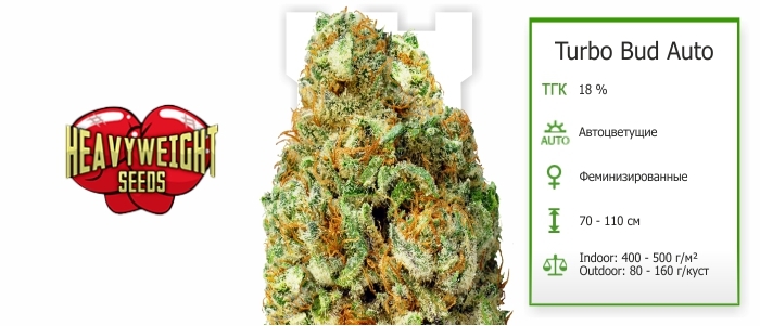 Turbo Bud Auto Turbo Bud Auto