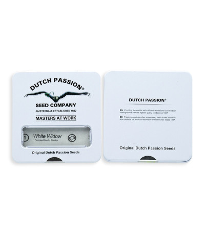 Сорт White Widow fem (Dutch Passion)