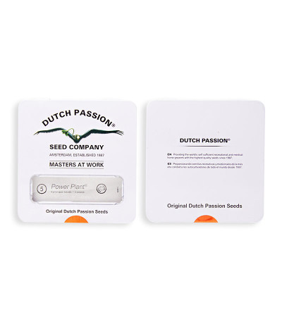 Сорт Power Plant fem (Dutch Passion)