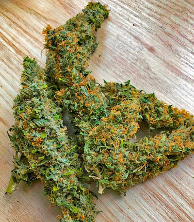 Сорт CBD Apple Betty Auto fem (Herbies Seeds)