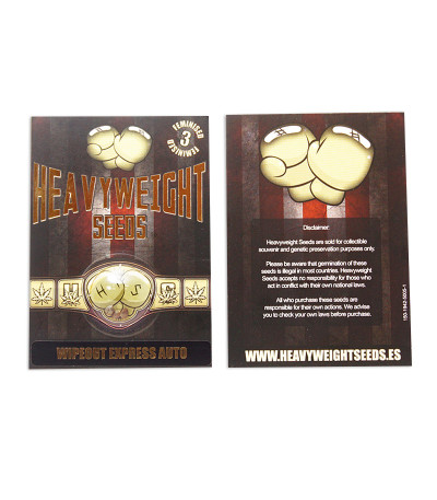 Сорт Wipeout Express Auto fem