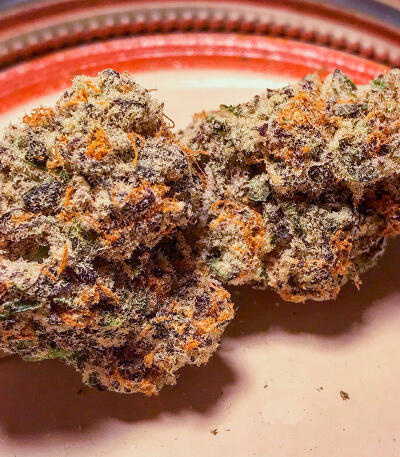 Семена сорта Purple Punch F1 fem (Seedkeepers)