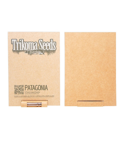 Сорт Patagonia fem (Trikoma Seeds)