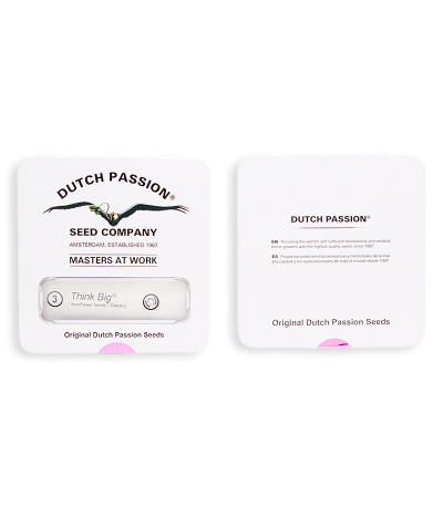 Сорт Think Different Auto fem (Dutch Passion)