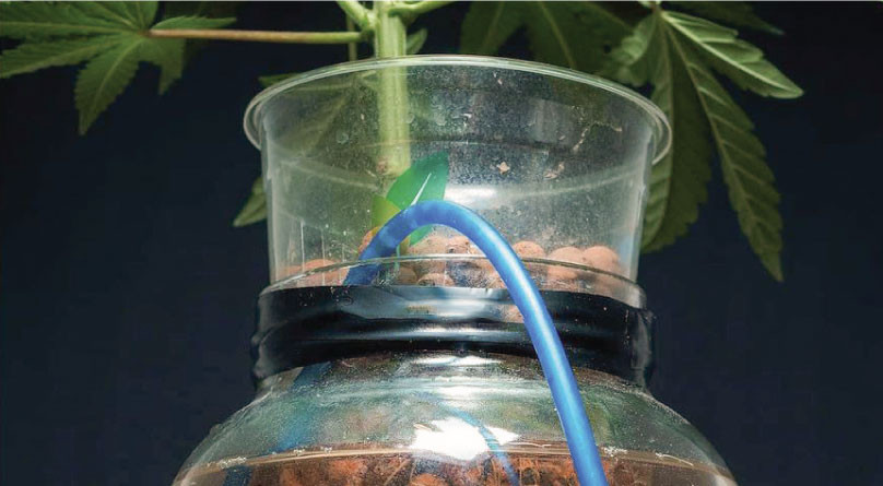 Питательный раствор для гидропоники Раствор для гидропоники